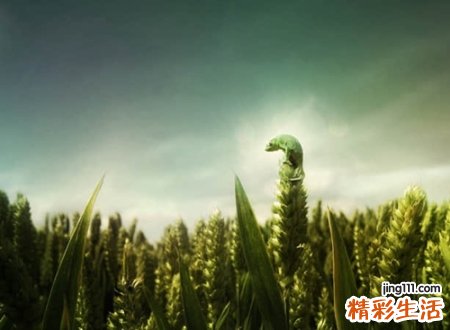 悲伤心痛的微信名字