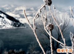 带有诗意的网名