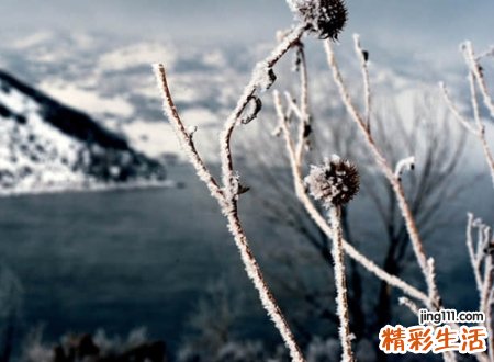 带有诗意的网名