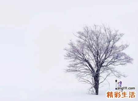 好听的相册名字