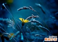 看透人心虚伪的网名