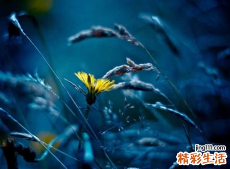 看透人心虚伪的网名