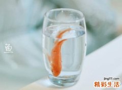 简单干净的网名