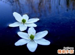 看透人心的哲理网名