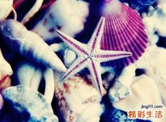 两个字的qq个性昵称