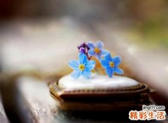 好看的两个字昵称带符号