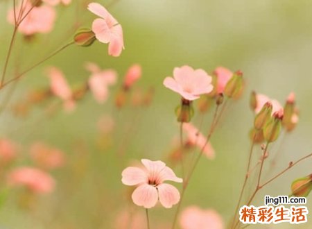 七个字的时尚微信名字