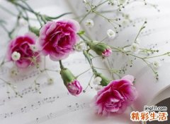 自然小清新的网名