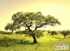 经典有意义的qq好听名字