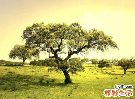 经典有意义的qq好听名字