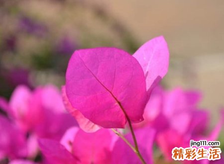 温馨好听的幸福昵称