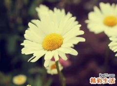 悲伤的抖音昵称