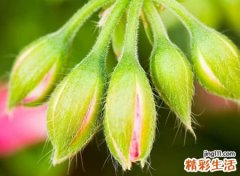 2个字的网名抖音版