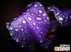 两个字的昵称微信版