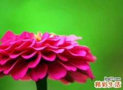 2021最好听的qq名字