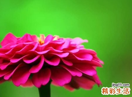 2021最好听的qq名字