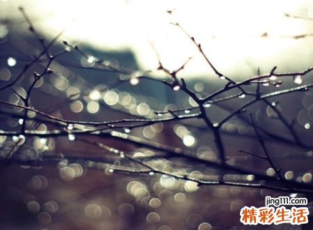 最新很颓废的伤感网名