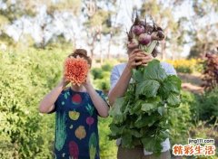 好听的古风网名情侣版