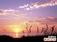 好听的网络昵称