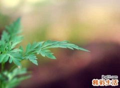 四字伤情的古风网名