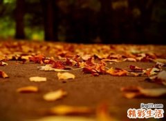 伤心的抖音网名