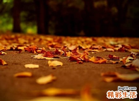 伤心的抖音网名