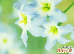 让人伤感的英文昵称