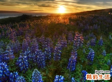 好听吸引人的三个字网名