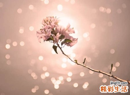 2021最好听吸引人的昵称