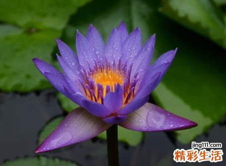带英文的网名