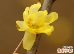 好听的情路网名