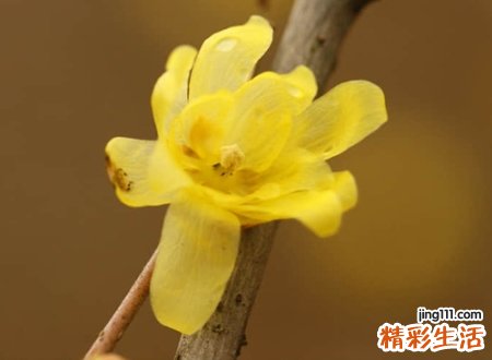 好听的情路网名