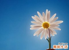 决定离开的网名