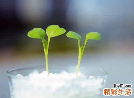 好有趣名字抖音版