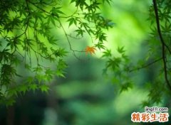 微信吸引人很拽的名字