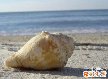 可爱好听的网名