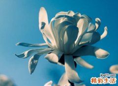 忧郁伤心的昵称