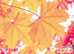 好听的英文网名伤感版