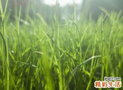 两个字好听的昵称