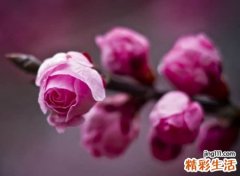 好听的微信三字网名