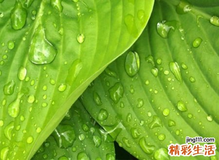 经典时尚的四字微信昵称