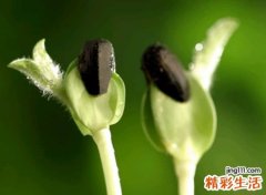 积极向上阳光的网名