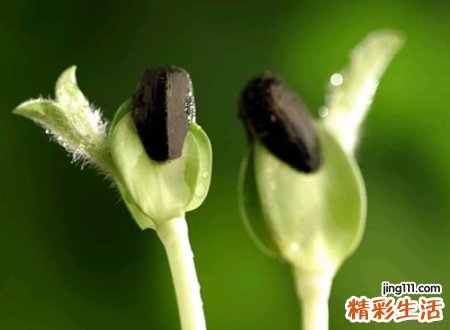 积极向上阳光的网名