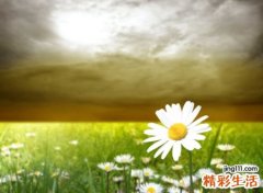 群昵称网名大全