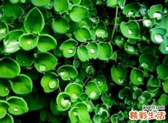 最有内涵的一个字网名