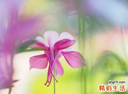 简短有个性的好听昵称