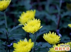 2021最伤感的名字微信版