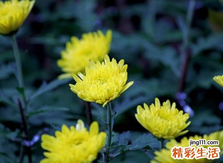 2021最伤感的名字微信版