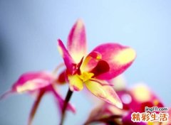 优雅好听三个字的网名