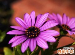 好听的2字网名